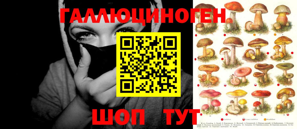 Галлюциногенные грибы Psilocybe Луховицы